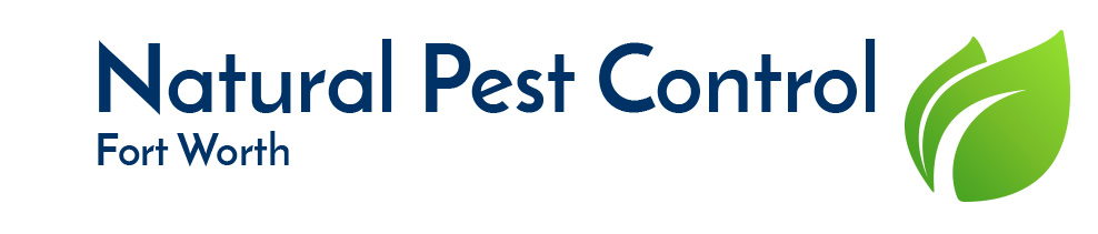 Natural Pest Control Dallas, Fort Worth, Frisco and Mckinney